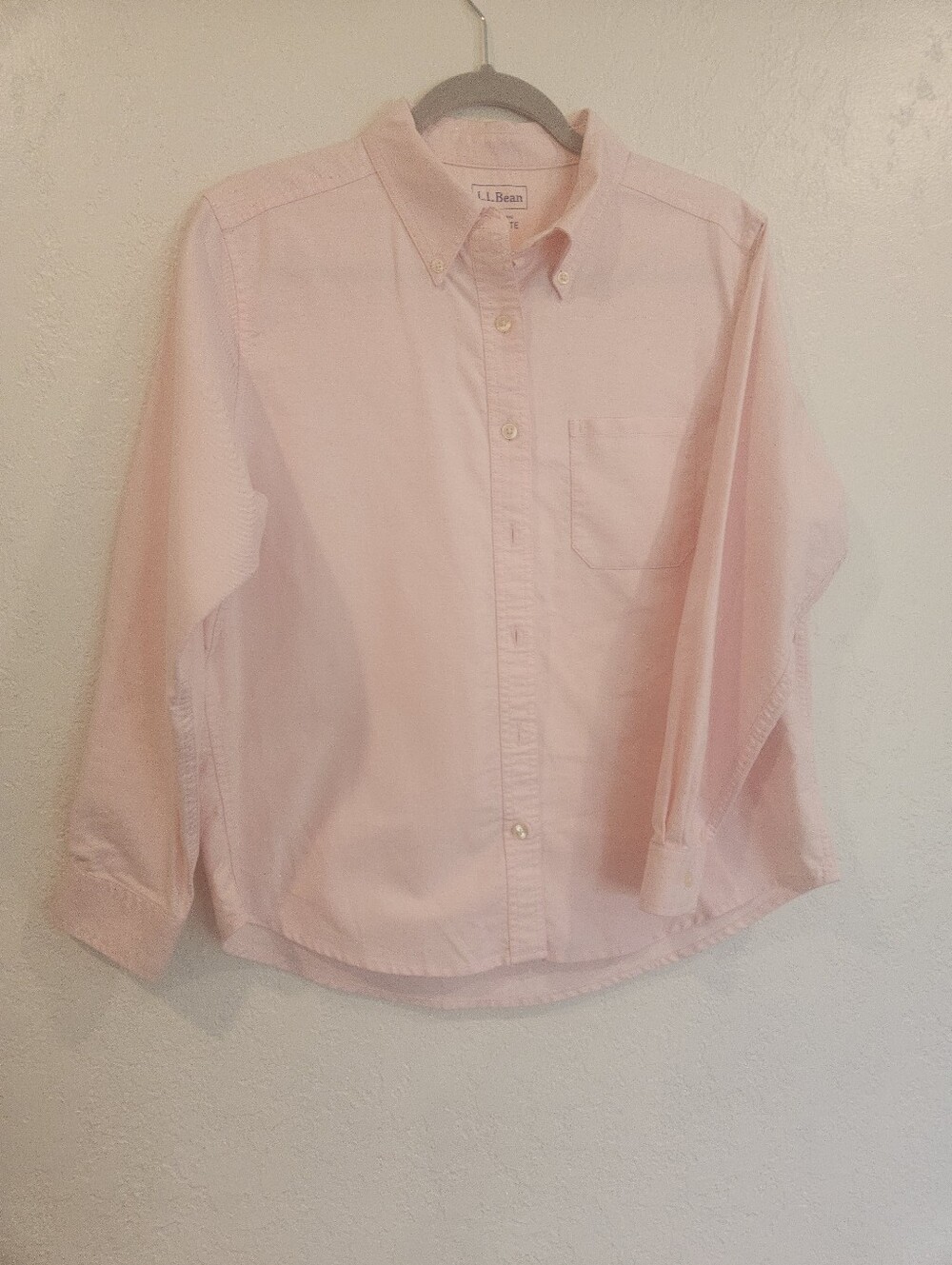 L.L.Bean Wrinkle-Free Oxford Shirt Women’s Medium Light Pink Long Sleeve Relaxed